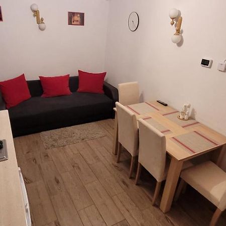 Apartament Miruna Sibiu Filarmonicii المظهر الخارجي الصورة
